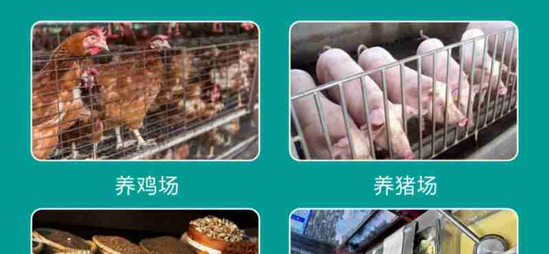 图片5.png